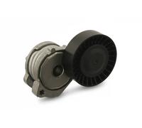 SWAG 55 93 0146 Tendicinghia, Cinghia Poly-V per FORD,VOLVO,VOLVO (CHANGAN),VOLV