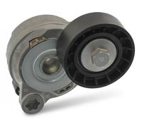 Tendicinghia multirighe Automatico 55 94 9398 SWAG per VOLVO S80 II V70 III