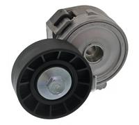 Tendicinghia multirighe Automatico 62 91 9119 SWAG per LANCIA CITROËN FIAT FORD