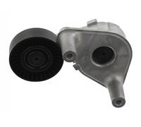Tendicinghia multirighe Automatico 90 93 1256 SWAG per HYUNDAI KIA
