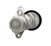 Tendicinghia multirighe Automatico FT44692 FAST per VW AUDI SKODA SEAT CUPRA
