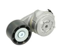 Tendicinghia multirighe B05-AG-125 BTA