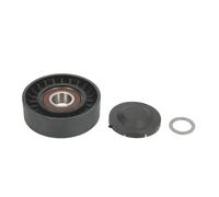 Tendicinghia multirighe E2G0014BTA BTA per VOLVO FORD