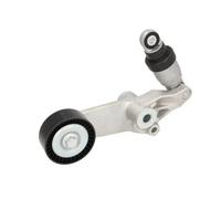 BTA E32008BTA Tenditore cinghia servizi