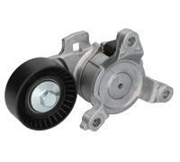 Tendicinghia multirighe E3C0020BTA BTA per PEUGEOT CITROËN