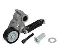 Tendicinghia multirighe E3G0004BTA BTA per JAGUAR FORD HONDA