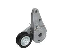 Tendicinghia multirighe E3G0005BTA BTA per VOLVO FORD
