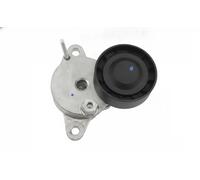 Tendicinghia multirighe FT10023 FAST per CITROËN PEUGEOT