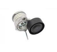 Tendicinghia multirighe FT10528 FAST