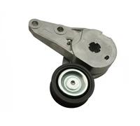 Tendicinghia multirighe FT44680 FAST per VOLVO FORD