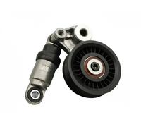 FAST FT44701 Tenditore cinghia servizi
