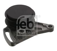 FEBI BILSTEIN 11341 Rullo tenditore cinghia Poly-V