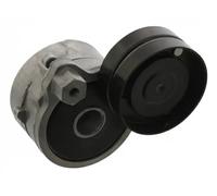 Tendicinghia multirighe meccanico 30 93 8981 SWAG per AUDI VW