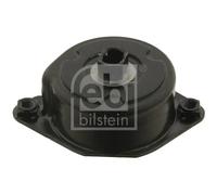 FEBI BILSTEIN 30117 Tenditore cinghia servizi