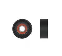 Tendicinghia multirighe RNK-PL-020 NTY per FIAT PEUGEOT OPEL CITROËN