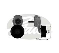 Tendicinghia multirighe T38116 GATES per JEEP GRAND CHEROKEE I