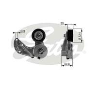 GATES T38317 Tendicinghia, Cinghia Poly-V per AUDI,PORSCHE,VW