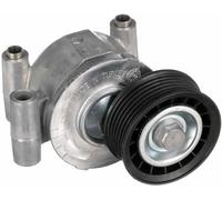 Tendicinghia multirighe T38318 GATES per FORD VOLVO