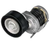 GATES T38427 Tenditore cinghia servizi