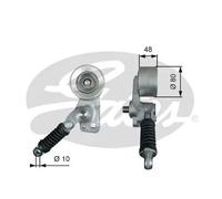 Tendicinghia multirighe T38604 GATES per MERCEDES-BENZ ACTROS TRAVEGO CITARO