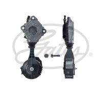 GATES T38771 Tenditore cinghia servizi Superiore Tendicinghia cinghia Poly-V