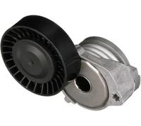 Tendicinghia multirighe T39116 GATES per FORD VOLVO