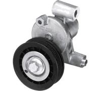 Tendicinghia multirighe T39351 GATES per FORD FORD USA