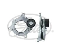 Tendicinghia multirighe T39434 GATES per MINI BMW ALPINA