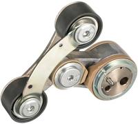 GATES T39502 Tenditore cinghia servizi