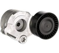 GATES T39563 Tenditore cinghia servizi