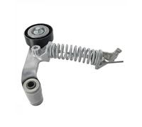 Tendicinghia multirighe VKM 38517 SKF