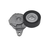 Tendicinghia Per Ford Per Bronco 21-23 Per F-150 2015-2023 FL3E6A228B FL3Z-6A228-B FL3E-6A228-AB Gruppo Puleggia Tenditrice Cinghia Di Trasmissione Kit Cinghia