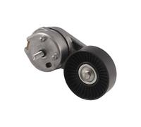 Tendicinghia Per Land Per Rover Per Range Per Rover LR011335 LR039517 AJ813574 Tenditore Della Cinghia Di Trasmissione Kit Cinghia