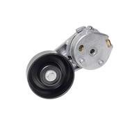 Tendicinghia Per Land Per Rover Per Range Per Rover Per Jaguar LR016140 JDE11364 Tenditore Della Cinghia Di Trasmissione Kit Cinghia