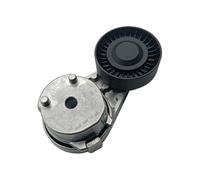 Tendicinghia Per Land Per Rover Per Range Per Rover Per Jaguar LR071035 C2D45642 Tenditore Della Cinghia Di Trasmissione Kit Cinghia