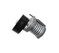 Tendicinghia Per SEAT 030145299F 30145299 030145299C Tenditore Cinghia Tenditore Accessori Motore Auto Kit Cinghia