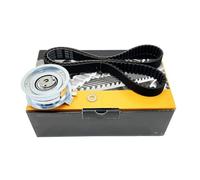 Tendicinghia Per VW Per Caddy MK3 Per Bora Per Golf Per Jetta Mk5 MK6 Per Passat Per Polo 1.6 2.0 06A109479F 06A109119 Kit Tenditore Cinghia Dentata Rullo Tenditore