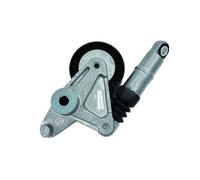 Tenditore Adatto per VW Adatto per AUDI A4 A5 A6 A8 Adatto per PORSCHE CAYENNE 2.7TDI 3.0TDI 059145201H 059145201F Tenditore della cinghia di trasmissione Kit tendicinghia