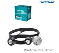 Tenditore ausiliario Dayco APV3823 per Motori Marini Man Marine 16.2
