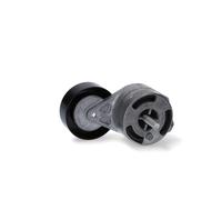 Tenditore Ausiliario Dayco Ausiliaria per Auto Audi Porsche VW Volkwagen APV2787