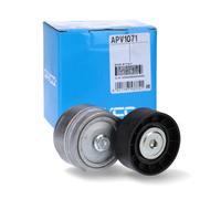 Tenditore Ausiliario Dayco Ausiliaria per Veicoli Auto/LCV Fiat Siena APV1071