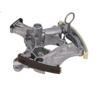 Tenditore, catena di distribuzione INA 551 0050 10 A6 C6 (4F2) 2.4 2004-2008