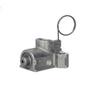 Tenditore, catena di distribuzione SWAG 40 93 3048 per HHR 2.2 2006-2011
