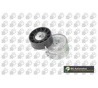 Tenditore Cinghia BGA DC1417 per Motori PSA 2.0 HDI 1999-2018