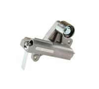 SNR GT357.69 Rullo tenditore, Cinghia dentata per SEAT,VW