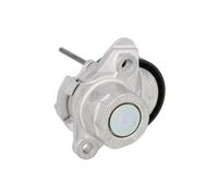 TENDITORE CINGHIA ESTERNA INA 534048010 PER VW AUDI SEAT SKODA