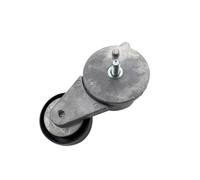Tenditore Cinghia Puleggia 25281-2F000 252812F000 25281-2F001 Per Kia Per Sorento Diesel 2.2 VQ 2010 2011 2012 2013 2014 2015 2016 GFVFGNLNNA