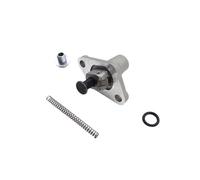 Tenditore della catena di temporizzazione della camma motociclistica con molla compatibile con ZS177MM NC250 ZS194MQ-2 NC450 adatta a vari modelli tra cui Motoland Avantis Kayo BRZ