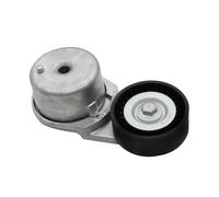 Tenditore della cinghia del motore EER con puleggia compatibile con Sebring Avenger 2.7 1996 2000 OEM 04891617AA Sostituzione del mercato secondario universale