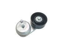 Tenditore della cinghia delle componenti del motore dell'AE degli accessori 1F1E 6B209 dell'automobile per la fuga 3,0 V6 2000-2008 2,5 AJ03-15-980